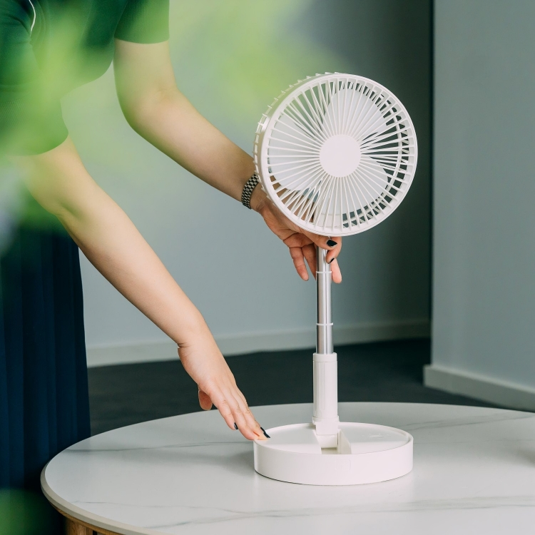 Portable Fan