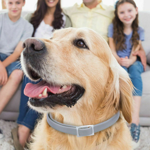 Anti-Flea, Tick & Mosquito Collar