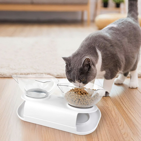 Anti-Vomiting Cat Feeder